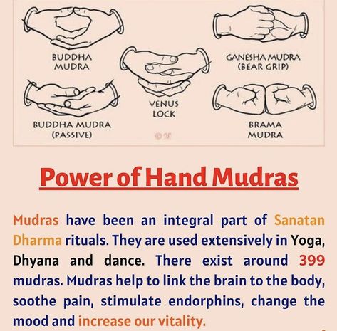 Ganesha Mudra, Mudras Meanings, Hand Mudra, Eye Magic, Chakra Chart, Quick Yoga, Meditation Inspiration, Hand Mudras, Reflexology Massage