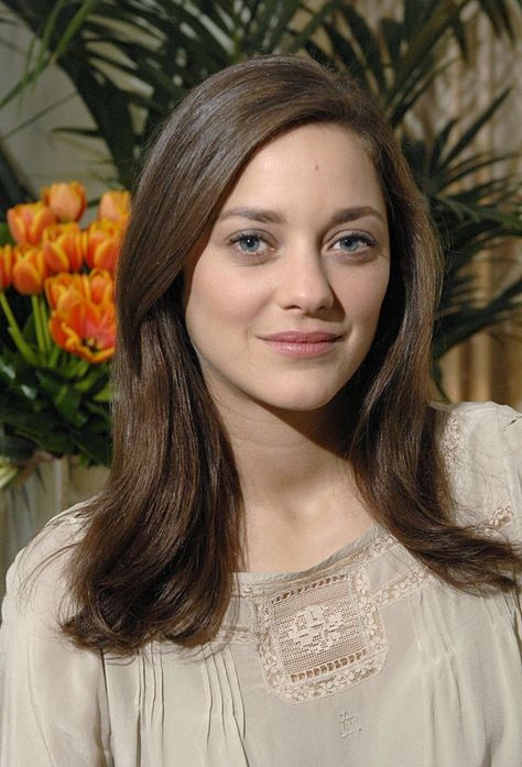 MC Marion Cotillard Hair, Marion Cottillard, Marion Cotilard, Marion Cotillard Style, Marion Cottilard, Rachel Keller, Diane Neal, Lauren Ambrose, Lara Pulver