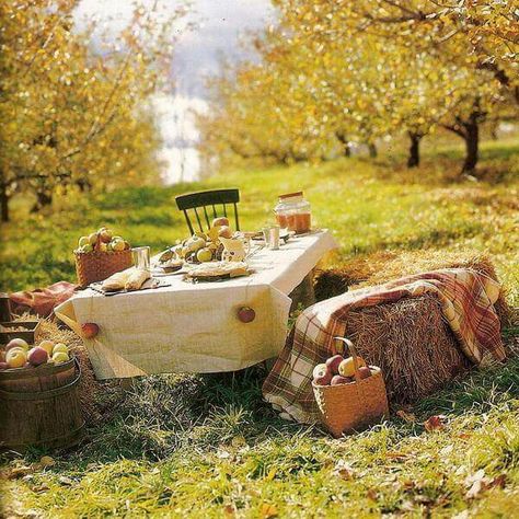 Picnicing in the orchard Thanksgiving Decorating Ideas, Candles Centerpieces, Thanksgiving Decorating, Fall Picnic, Yellow Apple, Apple Candles, Table Setting Decor, Country Cabin, Autumn Table