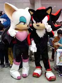 Sonic Costume Characters or Mascots Rouge Shadow, Sonic Costumes, Shadow Costume, Sonic Costume, Shadow And Rouge, Iconic Halloween Costumes, Shadow Sonic, Sonic & Knuckles, Japanese Costume