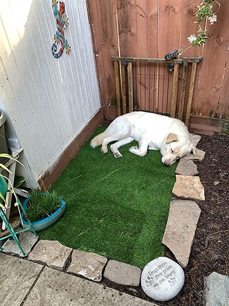 Dog Friendly Patio Ideas, No Grass Backyard Ideas For Dogs, Grass Carpet Outdoor, Fake Grass For Dogs, Dog Turf, Outdoor Dog Area, Fake Grass Rug, Dog Play Area, Backyard Landscaping For Dogs