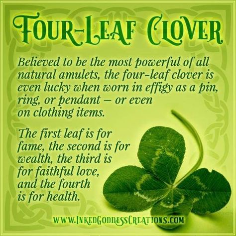 Clover Meaning, Clover Quote, Irish Blessing Quotes, St Patricks Day Pictures, St Patricks Day Quotes, Clover Tattoos, Irish Eyes Are Smiling, Magic Herbs, Irish Quotes