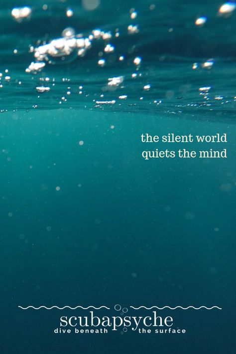 Jacques Cousteau called it the silent world. That silence calms the mind of a diver. The quote is from an article on PADI.com, for more on the psychology of scuba diving look up scubapsyche.com Diver Quotes, Horse Diving, Diving Tattoo, Diving Logo, Olympic Diving, Scuba Diving Quotes, Diving Quotes, Gear Tattoo, Diving Springboard