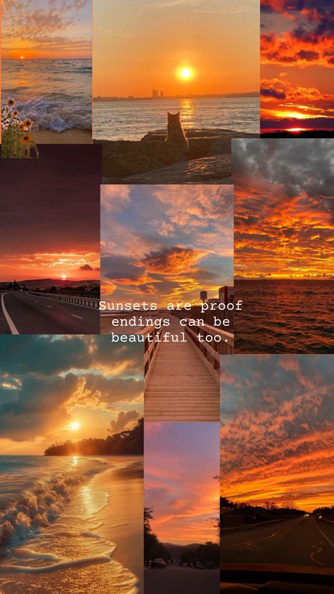 something in the orange tells me we’re not done. #collage #sunset #beach #orange Collage Sunset, Something In The Orange, Orange Wallpaper, Sunset Beach, Aesthetic Pictures, Collage, Orange, Canning