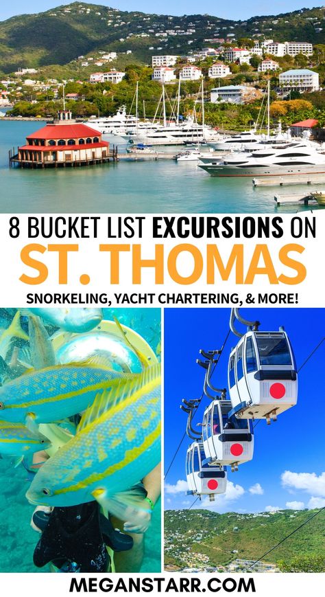 Discover the best tours on St. Thomas with this detailed guide. Choose from snorkeling adventures, historical tours of Charlotte Amalie, and scenic boat trips around the island. Whether you’re looking for an exhilarating day of adventure or a relaxing excursion, this guide helps you find the perfect tour to make the most of your time on St. Thomas. St Thomas Virgin Islands Things To Do, Charlotte Amalie St Thomas, Saint Thomas, St Thomas Beaches, St. Thomas, St Thomas Virgin Islands, Virgin Islands Vacation, Virgin Gorda, Family Vacay