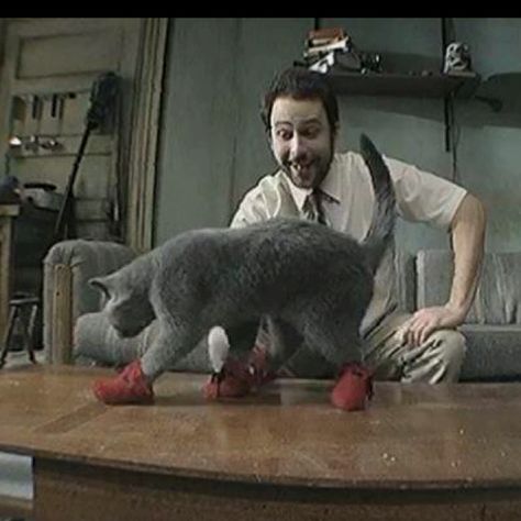 Kitten Mittens! YESSSS Nightman Cometh, Kitten Mittens, Charlie Kelly, Charlie Day, Always Sunny In Philadelphia, It's Always Sunny In Philadelphia, Sunny In Philadelphia, Found Family, It's Always Sunny