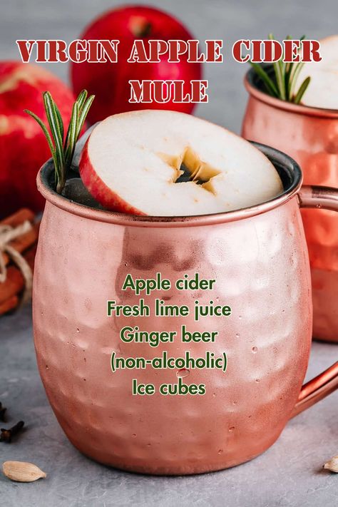 Copper mug filled with Apple Cider Mule Mocktail, garnished with apple slices and lime wedges, showcasing a fall-themed non-alcoholic drink. Autumn Mocktails, Mule Mocktail Recipe, Thanksgiving Mocktails, Apple Cider Mule, Cider Mule, Cranberry Ginger Ale, Mimosa Cocktail, Alcholic Drinks, Alcohol Free Drinks