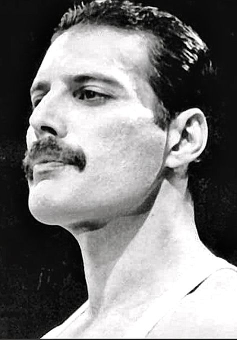 Fred Mercury, Freddie My Love, Mercury Black, Mr Fahrenheit, Mr Bad, Queen Poster, Queen Photos, Freddy Mercury, Sweet Lover