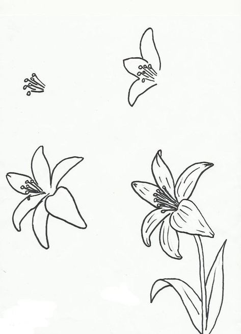 How To Draw Doodles Step By Step Image Guides- You might have encountered this question many times. Doodling is something that we all do when Doodles Step By Step, Draw Doodles, Flower Drawing Tutorials, Plant Drawing, Flower Doodles, Step By Step Drawing, Doodle Drawings, Pencil Art, Drawing Techniques