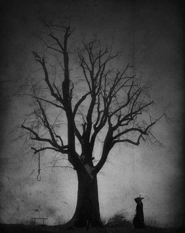 Old tree Creepy Urban Legends, Dark Art Photography, Dark Tree, Tree Sketches, Charcoal Drawings, Macabre Art, Dark Soul, Dark Art Drawings, Tree Drawing