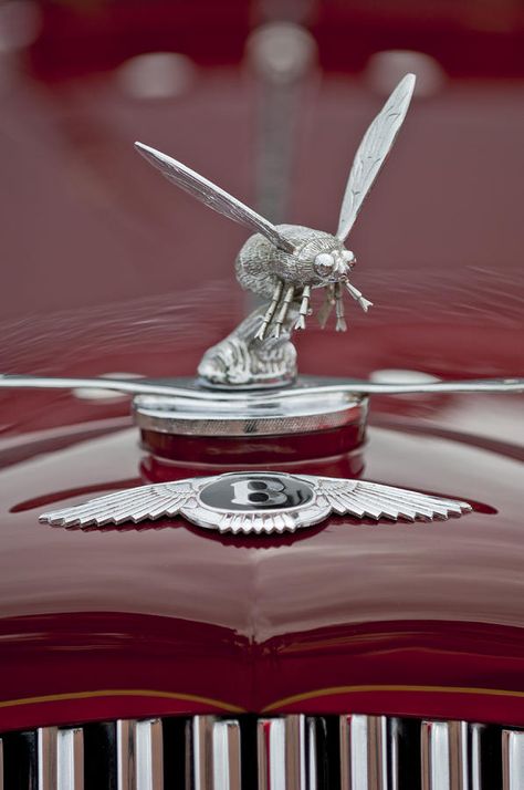 Bentley 35 Litre..Brought to you by #HouseofInsurance in #EugeneOregon Car Hood Ornaments, Car Bonnet, Car Badges, Car Emblem, Hood Ornaments, Old Car, Car Ornaments, Automotive Art, Save The Bees