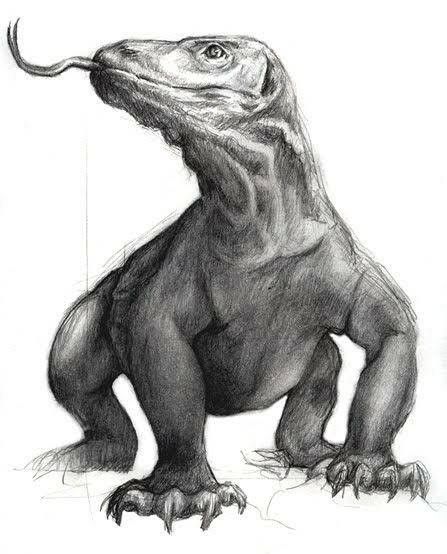 Draw Realistic, Scary Animals, Anime I, Field Museum, Komodo Dragon, Animal Doodles, Paleo Art, Scientific Illustration, Komodo