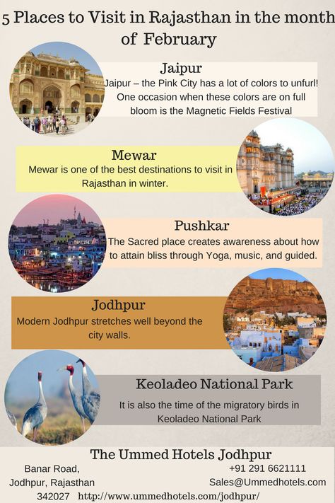 5 Places to Visit in #Rajasthan in the month of  February. #Jaipur, #Mewar, #Pushkar, #Jodhpur, #KeoladeoNationalPark. #weddingvenuesinjodhpur, #luxuryhotelinjodhpur, #besthotelsjodhpur, #fivestarhotelsinjodhpurrajasthan, #palacehotelsinjodhpur, #palacehotelsinjodhpur, Places To Travel In India, Unique Places To Travel, Rajasthan Travel, Holiday Destinations In India, Rajasthan Tourism, Travel India Beautiful Places, Travel In India, Rajasthan Tour, Jaipur Travel