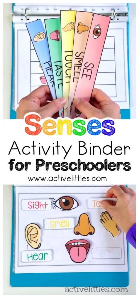 Senses Learning Activity Binder for Preschoolers and Kids - Active Littles Kids Learning Activities Preschool, Activities For Kids Preschool, Preschool Binder, Activity Binder, Senses Preschool, Senses Activities, Early Learning Activities, Preschool Activity, Kids Learning Activities