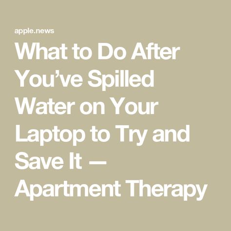 What to Do After You’ve Spilled Water on Your Laptop to Try and Save It — Apartment Therapy A Nightmare, Apartment Therapy, Life Hacks, Keyboard, Laptop, Apartment, Money, Water