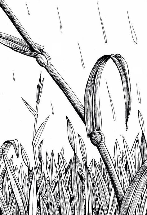 More Grass Grass Blades Drawing, Ink Exercises, Grass Drawing, Drawing Inspo, Detailed Drawings, Drawing Ideas, Art Sketches, Pen And Ink, Doodles