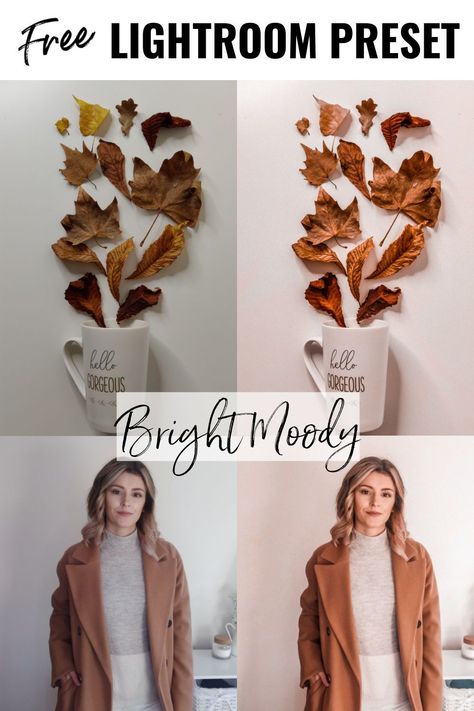 Cozy Instagram Feed, Lightroom Filters Codes, Insta Aesthetics, Cozy Academia, Best Free Lightroom Presets, Vintage Lightroom Presets, Lightroom Presets For Portraits, Instagram Presets, Professional Lightroom Presets