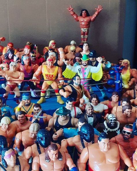 Marty Jannetty, Wwf Hasbro, Wwe Action Figures, 1980s Toys, Cow Spots, Purple Cards, Ultimate Warrior, Shawn Michaels, Hulk Hogan