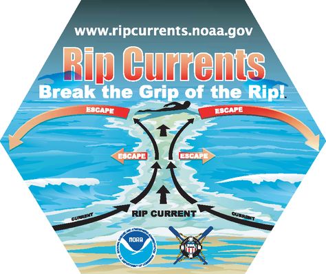 Check out the latest blog from Summit Properties! Beach Safety Rip Currents - http://www.summitprop.com/beach-safety-rip-currents/ Beach Safety, South Carolina Coast, Rip Current, Lake Michigan Beaches, Michigan Beaches, Indiana Dunes, Wind Gust, Severe Storms, Florida Girl