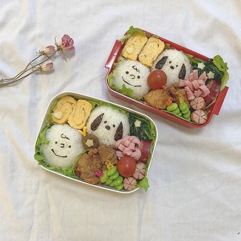 Waseda University, Boxed Lunch, Basic Food, Bento Box Ideas, Cute Snacks, Peanuts Snoopy, Box Ideas, Bento Box, Cute Food