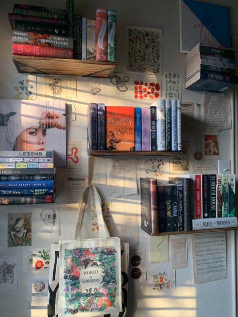 Book Lover Apartment, Book Wall Aesthetic, Wall Shelf Books, Walls Of Books, Book Wall Display, Clutter Wall, Aesthetic Book Display, Book Wall Collage, Steph Bohrer Book Wall