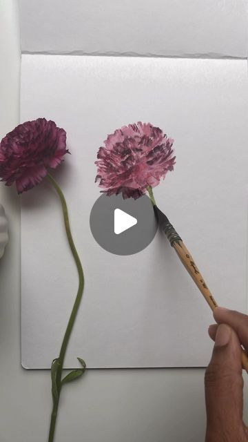 Rashmi Thodkar on Instagram: "Ranunculus 💜 Painting a flower I have not attempted before 💜 These represent charm and attraction so send it to someone you have a crush on without saying anymore 💜 #ranunculus #ranunculuspainting #ranunculusinwatercolor" Painting A Flower, Ranunculus Painting, A Crush, Send It, Ranunculus, Having A Crush, A Flower, Desi, Drawings