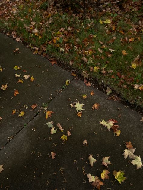 fall leaves on the sidewalk aesthetic !! Fall Aesthetic Leaves, Pile Of Leaves Aesthetic, Leaf Pile Aesthetic, Leaves Aesthetic Fall, Leaves Falling Aesthetic, Olympus Camera, Fall Weather, Dark Aesthetic, Autumn Leaves