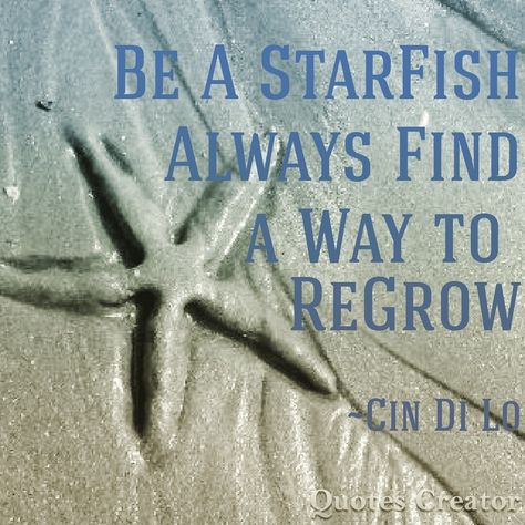 Be a StarFish and Always Find a Way to ReGrow Starfish Symbolism Meaning, Sea Shells Quotes, Seashell Quotes Inspirational, Starfish Quotes, Starfish Quotes Inspirational, Comfort Verses, Starfish Story, Sea Quotes, Mermaid Quotes