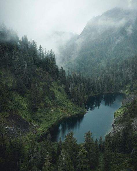 Oregon Aesthetic, Nordic Landscape, Landscape Aesthetic, Nature Destinations, Artist Gallery, Nature Aesthetic, Pretty Places, Pacific Northwest, Nature Photos