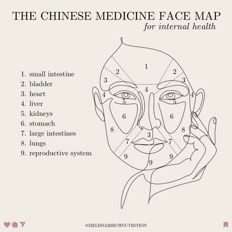 Graphic of a face illustration showing the traditional Chinese medicine face map Tcm Face Mapping, Chinese Face Mapping Acne, Face Mapping Health, Acne Mapping Face, Acne Map, Chinese Face Map, Menstrual Phases, Body Reading, Acne Face Map