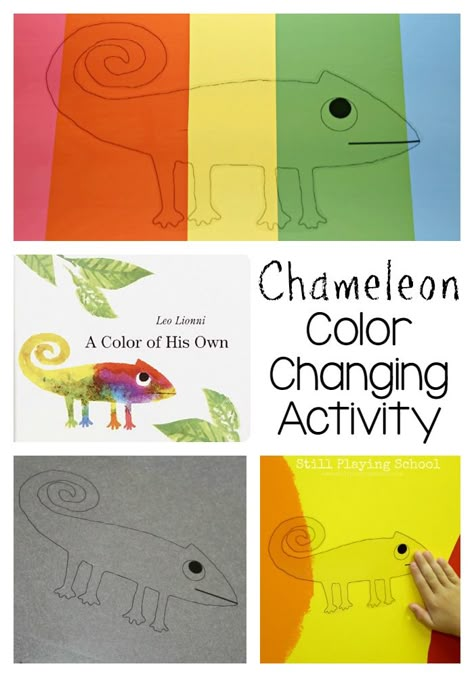 Chameleon Color Changing Activity for A Color of His Own from Still Playing School Leo Lionni Activities, A Color Of His Own, Mixed Up Chameleon, Leo Lionni, Literature Activities, Chameleon Color, Preschool Colors, Author Studies, Preschool Books