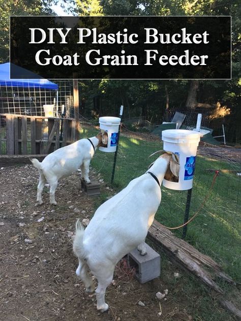 DIY Plastic Bucket Goat Grain Feeder... #goats #diy #homestead #homesteading Goat Grain Feeder, Feeders For Goats, Diy Garbage Can, 4h Goats, Goat Hay Feeder, Goat Fence, Goat Feeder, Goat Playground, Goat Toys