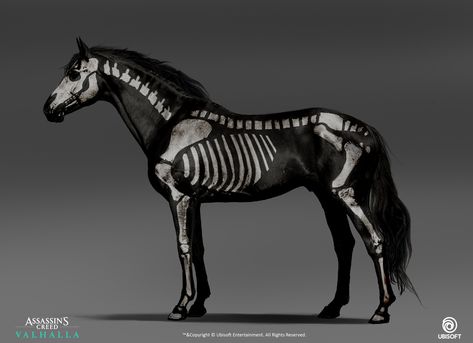 Horse Halloween Ideas, Zombie Horse, Horse Draw, Draw Cute Animals, Skeleton Horse, Horse Halloween Costumes, Ac Valhalla, Horse Braiding, Black Desert Online