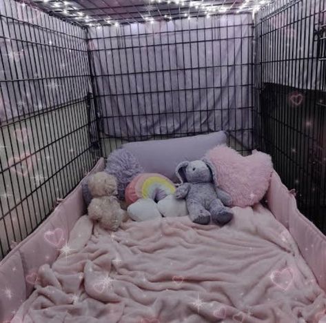 Puppy Cage, Puppy Room, Puppy Time, Pet Spaces, Puppy Play, Cute Little Things, Safe Space, الرسومات اللطيفة, Little Princess