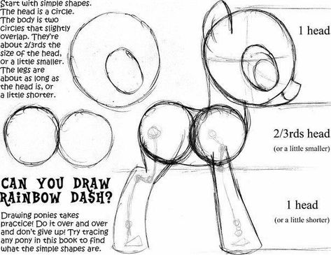 How To Draw My Little Pony, Mlp Drawing, Pony Base, Mlp Base, Horse Anatomy, My Lil Pony, Mlp Fan Art, Art Tools Drawing, My Little Pony Drawing