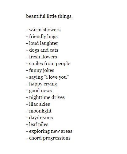 beautiful little things. - warm showers - friendly hugs - loud laughter - dogs and cats - fresh flowers - smiles from people - funny jokes - saying "i love you" - happy crying - good news - nighttime drives - lilac skies - moonlight - daydreams - leaf piles - exploring new areas - chord progressions Laying Under The Stars, Simple Life Aesthetic, Happy Crying, Comics Sketch, Word Of Wisdom, Chord Progressions, Life Aesthetic, Music Festivals, Happy Thoughts