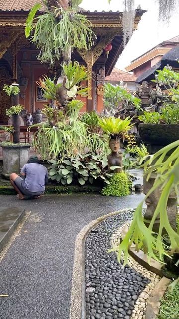 Bali Garden, Balinese Garden, Bali House, Tropical Style, Balinese, Ubud, Green Day, Tropical Garden, Small Garden