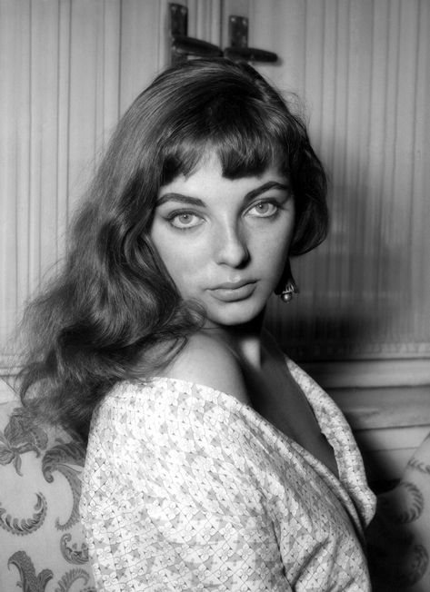 Joan Collins, totally perfect. American Horror Stories, Dame Joan Collins, Jackie Collins, Young Celebrities, Maria Callas, Joan Collins, Tilda Swinton, English Actresses, Sophia Loren