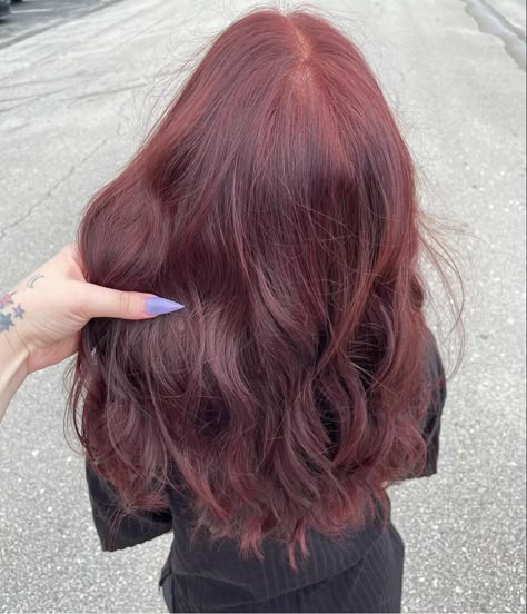 Dark Red Curtain Bangs, Light Wine Red Hair, Wine Red Brown Hair, Light Red Hair Dye, Red Hair On Dark Hair, Dark Red Wavy Hair, Very Dark Red Hair, Dark Red Dyed Hair, Dark Red Natural Hair