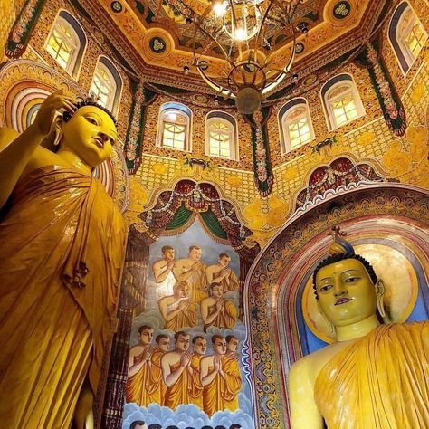 Stepping into the serene realm of Sri Lanka's Buddhist temples feels like entering a tapestry woven with spiritual stories and intricate design. Every corner adorned with vibrant murals, delicate carvings, and ornate statues whispers tales of devotion and timeless craftsmanship. A journey through these sacred spaces is a visual symphony that echoes the soul's quest for enlightenment. 🙏🕌 #SpiritualSplendor #SriLankanHeritage #SriLankaBeauty #Nature #greenholiday #SriLanka #ExploreSriLanka #... Spiritual Stories, Buddhist Temples, Tapestry Woven, Psychadelic Art, Sacred Spaces, Buddhist Temple, Tapestry Weaving, Sacred Space, Intricate Design