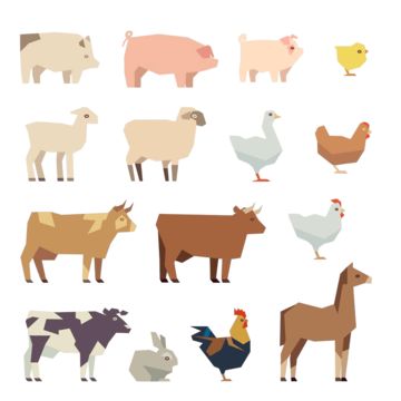 design,chicken,cattle,mammal,agriculture,domestic,farm,duck,livestock,illustration,of,style,sheep,background,bull,white,sign,nature,unusual,art,collection,hare,bird,cow,animals,flat,horse,template,hen,and,group,cartoon,poultry,goose,icon,simple,on,rabbit,farming,icons,symbol,rural,isolated,element,shape,animal,rooster,lamb,cock,swine,vector,graphic,set,bunny,pig Sheep Background, Farm Animals Vector, Rabbit Farming, Group Cartoon, Horse Template, Male And Female Signs, Rabbit Farm, Chicken Cat, Happy Pig