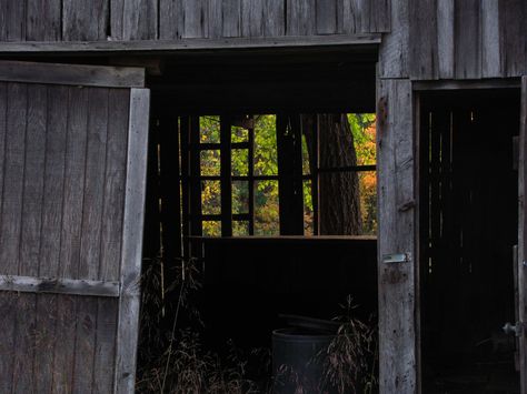 Shed Aesthetic Dark, Shed Aesthetic, Bunny Corcoran, Apocalypse Aesthetic, Ghost Hunting, Elm Street, Sharp Objects, Nightmare On Elm Street, Abandoned Places