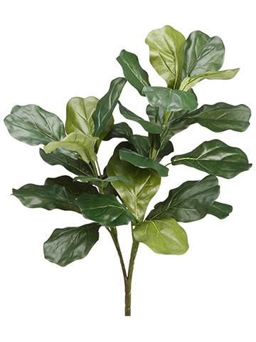 Plants Photoshop, Fiddle Leaf Plant, Fig Tree Plant, Fiddle Leaf Fig Plant, Plant Reference, Fiddle Leaf Tree, Plant Png, Fig Plant, Fake Succulents