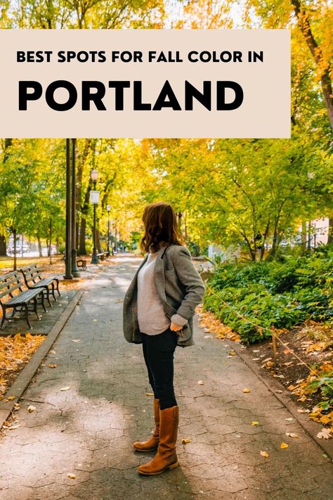 This local's guide covers the BEST spots for fall color in Portland (along with stunning photos) #portland #pdx #portlandinfall #autumncolor #fallcolor #bestfallcolorportland #fallportland Portland Oregon Autumn, Portland In The Fall, Fall In Oregon, Portland Oregon Fall, Hiking Near Portland Oregon, Forest Park Portland, Pearl District Portland, Oregon Pictures, Portland Neighborhoods