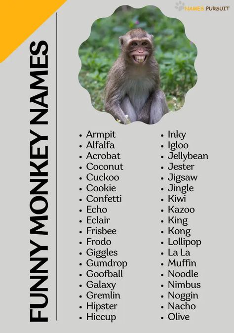 Go bananas over this hilarious list of monkey names! 🐒 From punny picks to downright giggly monikers, find the perfect name to tickle your funny bone. Pin and share to spread the monkey mischief! #FunnyMonkeyNames #MonkeyBusiness Monkey Names, Cute Pet Names, Funny Monkey, Go Bananas, Gum Drops, Monkeys Funny, Monkey Business, A To Z, You Funny