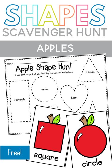 Looking for some apple math activities? This apple themed shape scavenger hunt is perfect for preschool or kindergarten students! It's the perfect apple math center! Shapes Scavenger Hunt, Tracing Shapes Worksheets, Preschool Apple Unit, Math Apple Activities, Shape Hunt, Apple Crafts Preschool, Apple Theme Activities, Self Connection, Preschool Apple Activities