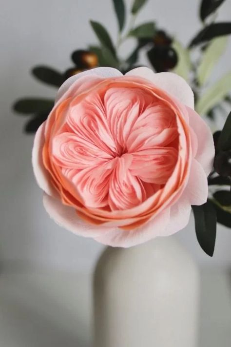 Juliet Rose Flower | A Complete Guide | TorontoFlora Peach Color Combination, Flower In A Vase, Modern Kitchen Furniture, Juliet Rose, Paper Peony, Expensive Flowers, Light Pink Blush, Rose Png, Paper Peonies