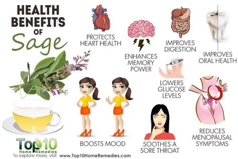 #fitness #fit #fitchick #fitspo #fitnessinspo #fitnessmotivation #fitnessinspiration #lifting #fitnessmodel #legday #fitgoals #beachbody #workoutmotivation #bikini #fitchick #selfie #gym #transformation #healthywikihow Benefits Of Sage Tea, Sage Tea Benefits, Sage Health Benefits, Hair Roller Curls, Benefits Of Sage, Plants Benefits, List Of Herbs, Sage Benefits, Diy Hair Rollers