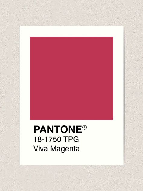 Viva Magenta Interior Design, Magenta Artwork, Pantone Viva Magenta, Viva Magenta Color, Magenta Interior, 2023 Pantone, Magenta Design, Pantone Palette, Pantone Colour Palettes