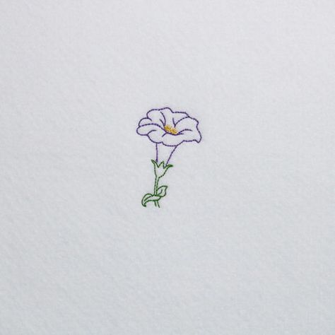 Embroidered Morning Glory, Morning Glory Illustration Simple, Morning Glory Embroidery, Morning Glory Outline, Morning Glory Tattoo Simple, Aster And Morning Glory Flower Tattoo, Morning Glory Drawing, Sadie Jean, Morning Glory Tattoo